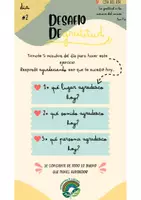 Vista previa - Tarjetas / Manipulativos - DESAFIO DE GRATITUD - página 3