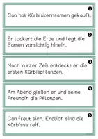 Vorschau - Arbeitsblätter - #happyhalloween24 Kürbisse wachsen - Lesen und Verstehen - Fördermaterial - Seite 2