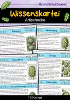 Vorschau - Bildkarten - Wissenskartei - 40 Gemüsesorten - Gemüse Materialpaket - Seite 1
