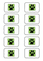 Vorschau - Spiele - Schulhund - Spiel mit Activity-Karten für Hund und Kinder - Seite 3