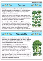 Vorschau - Bildkarten - Brokkoli - Wissenskartei - Gemüse - Seite 2