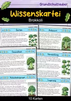 Vorschau - Bildkarten - Brokkoli - Wissenskartei - Gemüse - Deckblatt