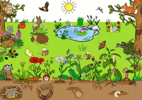 Vorschau - Unterrichtsreihen - Wimmelbild Frühling, Sommer Suchbild Wiese, Wald, Tieren und Pflanzen - Seite 1