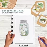 Vista previa - Unidades / Secuencias / Situaciones de Aprendizaje - EUSKERA: Pack Igelaren Bizi-zikloa (IKASTEKO EGOERA) - Biología 3. Primaria. - página 1