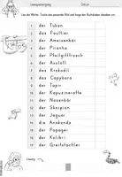 Vorschau - Arbeitsblätter - Lesespaziergang | Tiere im Regenwald | differenziert - Seite 1
