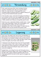 Vorschau - Bildkarten - Gurke - Wissenskartei - Gemüse - Seite 3