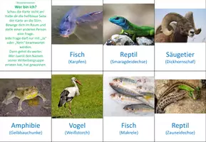 Vorschau - Spiele - Wirbeltiere - Wer bin ich - Seite 1