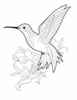 Vorschau - Mal- und Bastelvorlagen - 100 Kolibri-Ausmalbilder für Kinder - Seite 2