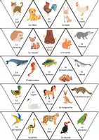 Aperçu - Jeux - Jeu Trio Animaux - Associations, vocabulaire - Biodiversité - Page 3