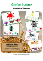 Aperçu - Jeux - Cartes à pince - Couleurs & Insectes - Page de couverture