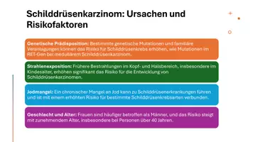 Vorschau - Präsentationen/Tafelbilder - Unterrichtseinstieg: Schilddrüsenkarzinom - Seite 2