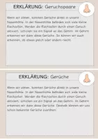 Vorschau - Stationenlernen - Stationsarbeit mit Experimenten zum Thema "Geruchssinn" - Seite 2