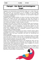 Vorschau - Arbeitsblätter - Papagei: Intelligenz, Ernährung, Lebensraum, Bedrohungen - Seite 1
