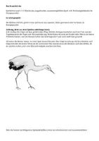 Vorschau - Arbeitsblätter - Vogelzug Würfelspiel - Seite 1
