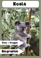 Vorschau - Arbeitsblätter - Koala: Lebensweise und Ernährung für Grundschüler erklärt - Deckblatt