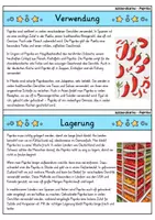 Vorschau - Bildkarten - Paprika - Wissenskartei - Gemüse - Seite 3