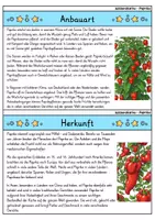 Vorschau - Bildkarten - Paprika - Wissenskartei - Gemüse - Seite 1