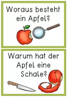 Vorschau - Arbeitsblätter - Der Apfel - 5 Experimente & Forscherbogen - Seite 2