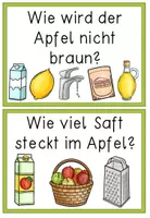 Vorschau - Arbeitsblätter - Der Apfel - 5 Experimente & Forscherbogen - Seite 3