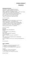 anteprima - Esercizi - Uzbekistan - Pagina 3