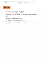Vorschau - Text - Alpaka: Lebensweise und Ernährung - Seite 2