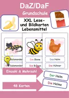 Vorschau - Arbeitsblätter - XXL Lesekarten Lebensmittel Einzahl und Mehrzahl - DaZ/DaF, Deutsch (Grundschule) - Deckblatt