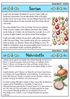 Vorschau - Bildkarten - Zwiebel - Wissenskartei - Gemüse - Seite 2