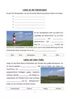 Vorschau - Arbeitsblätter - Lückentexte "Leben an der Küstenregion / Nordsee" Jg. 5+6 - Deckblatt