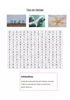 Vorschau - Arbeitsblätter - Suchsel - Tiere der "Nordsee" Jg. 5+6 - Deckblatt