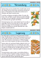 Vorschau - Bildkarten - Aprikose - Wissenskartei - Obst - Seite 3