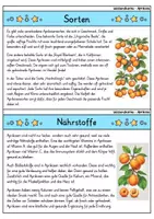 Vorschau - Bildkarten - Aprikose - Wissenskartei - Obst - Seite 2