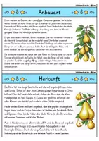 Vorschau - Bildkarten - Birne - Wissenskartei - Obst - Seite 1
