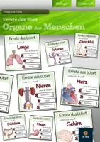 Vorschau - Spiele - Organe des Menschen - Errate das Wort-Spiel - Deckblatt