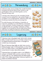Vorschau - Bildkarten - Cashewnuss - Wissenskartei - Obst - Seite 3