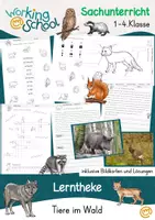 Vorschau - Arbeitsblätter - Wald - Deckblatt