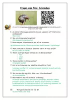 Vorschau - Arbeitsblätter - Fragen zum Film: Schnecken (Anna und der wilde Wald) - Weichtiere - Wald und Boden - Seite 2