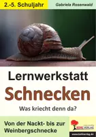 Vorschau - Arbeitsblätter - Lernwerkstatt Schnecken | Gehäuseschnecke, Nacktschnecke, Weinbergschnecke, Terrarium, Körperbau | Sachunterricht Biologie Klasse 2-5 Lösungen - Deckblatt