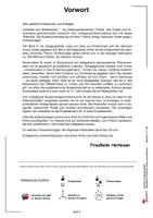 Vorschau - Arbeitsblätter - Kindheit und Kinderarbeit – Jugendliche für brisante Themen sensibilisieren | Kinderrechte, Menschenrechte, Industrialisierung, Kindersoldaten, UNO | Politik Gesellschaft Sekundarstufe I II Klasse 6-13 Lösungen - Seite 3