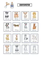 Vorschau - Arbeitsblätter - Hunde nach Größe sortieren Längen Zentimeter und Meter - Seite 2