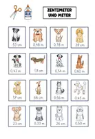 Vorschau - Arbeitsblätter - Hunde nach Größe sortieren Längen Zentimeter und Meter - Seite 3