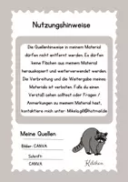Vorschau - Arbeitsblätter - Sachtexte Waschbär Klassenarbeit - Seite 3