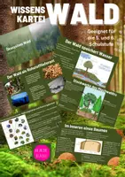 Vorschau - Präsentationen/Tafelbilder - Wissenskartei Wald - Das musst du wissen! - Deckblatt