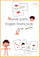 Vorschau - Spiele - First Words - English Flashcards BODY PARTS - Deckblatt