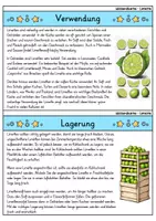 Vorschau - Bildkarten - Limette - Wissenskartei - Obst - Seite 3