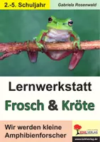 Vorschau - Arbeitsblätter - Lernwerkstatt Frosch und Kröte | Amphibien, Kaulquappe, Metamorphose, Laubfrosch, Erdkröte | Sachunterricht Biologie Grundschule Klasse 2-5 Lösungen - Deckblatt