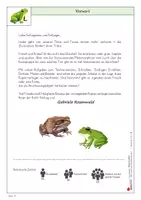 Vorschau - Arbeitsblätter - Lernwerkstatt Frosch und Kröte | Amphibien, Kaulquappe, Metamorphose, Laubfrosch, Erdkröte | Sachunterricht Biologie Grundschule Klasse 2-5 Lösungen - Seite 3