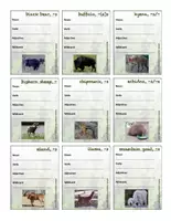 Vorschau - Spiele - CLIL - Game - Mammal Safari (Describing Mammals) - Seite 1