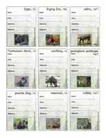 Vorschau - Spiele - CLIL - Game - Mammal Safari (Describing Mammals) - Seite 3