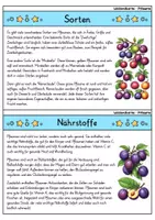 Vorschau - Bildkarten - Pflaume - Wissenskartei - Obst - Seite 2