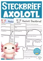 Vorschau - Stationenlernen - Axolotl Steckbrief Sachunterricht - Deckblatt
